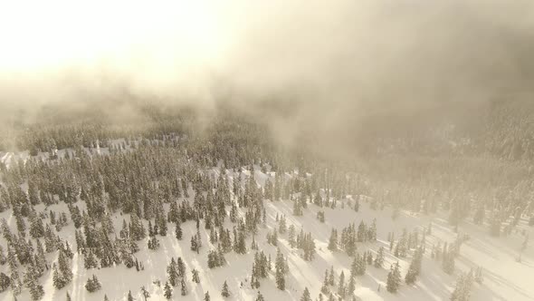 Aerial View of Canadian Nature Landscape on Top of Snow Covered Mountain