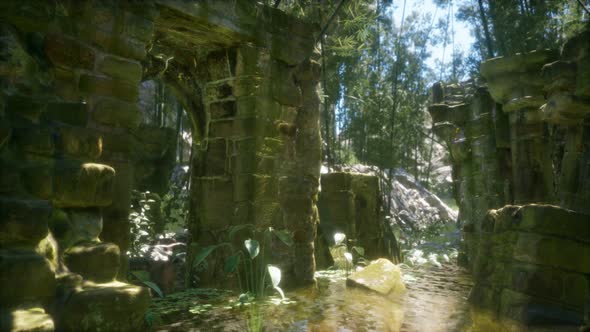 Ruined Ancient Stone House Overgrown with Plants and Ferns in Dense Green Forest