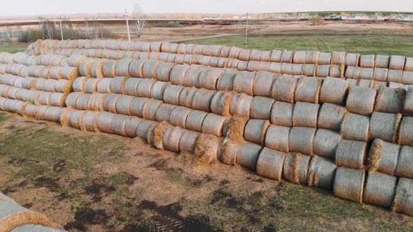 Aerial View a Hay Bales Are Stack Large Stacks. Harvesting in Agriculture. Hay Bales Straw Storage