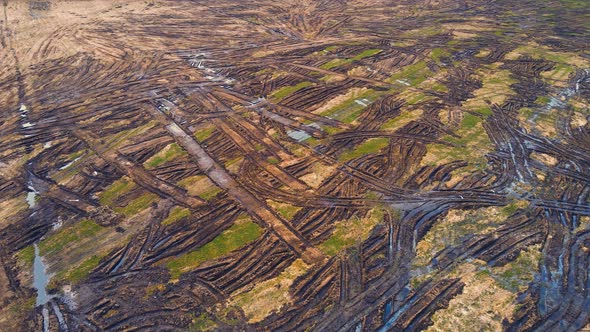 Bird'seye View of Scattered Manure Heaps in a Farm Field