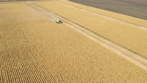 Different Combine Machines Harvesting Corn In The Field 15