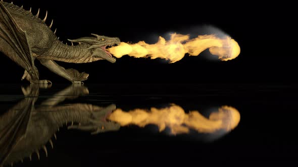 Realistic Dragon Breathes Fire on a Black Background on alt