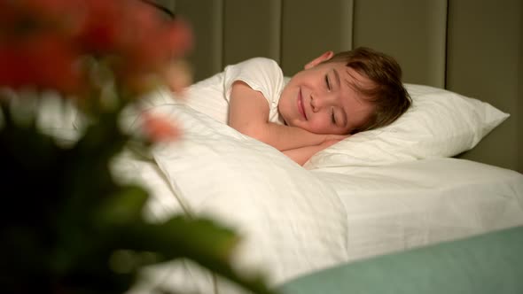 Sixyearold Boy Sleeps Sweetly in His Crib and Smiles in His Sleep