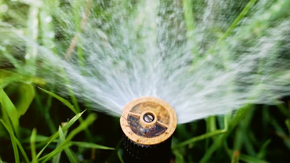 Water Spraying Out of Sprinkler on the Green Lawn. Irrigation System Sprinkler
