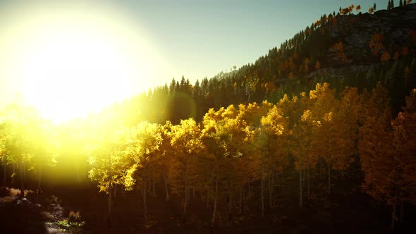 Bright Sunset in the Mountains