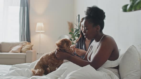 Lesbian Couple Petting Their Maltipoo Dog in Bed