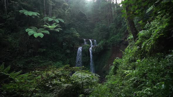 waterfall in the middle of forest named Grenjengan Kembar, Central java, Indonesia. Bushes in the fo