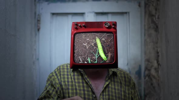 Man Wearing TV on his Head and a Caterpillar Crawling on Screen.
