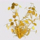 Golden Flower Bush - VideoHive Item for Sale