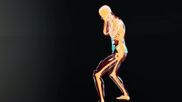 anatomy animation of male boxer,  Boxing, exercise, extreme sport, gym,  human anatomy,