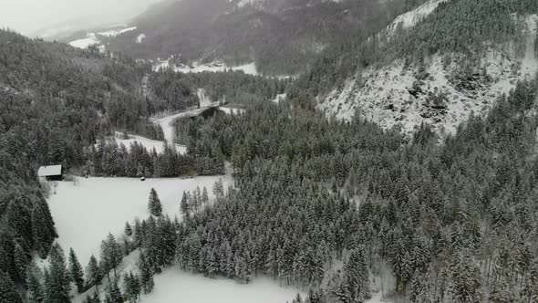 Beautiful view on an Forest with Mountains in Schiederweiher in Upper Austria Drone Video