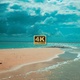 Beach And Birds 4K - VideoHive Item for Sale