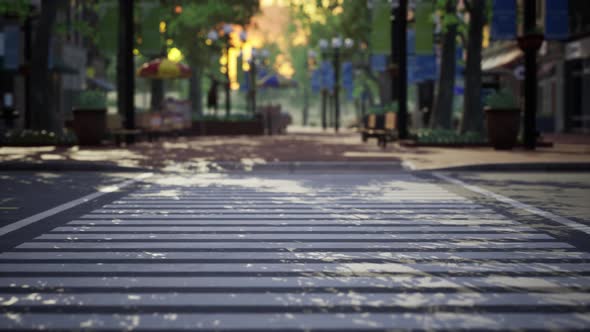 Quiet City Park with Trees and Benches