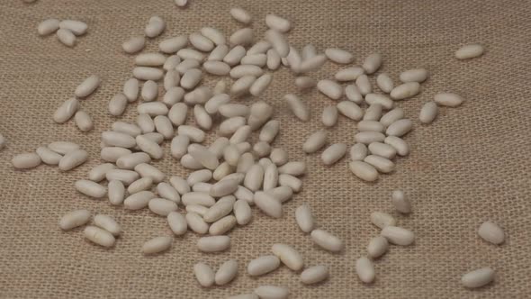 White Beans Legumes
