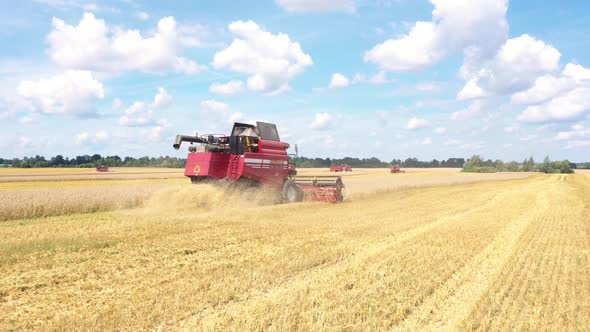 Scenic Rural Landscape Combines Harvesters Gatherings Ripe Wheat In Farm Field