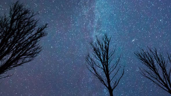 Andromeda galaxy rising high in the night sky.