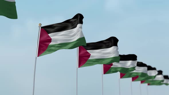 Palestine Row Of Flags 