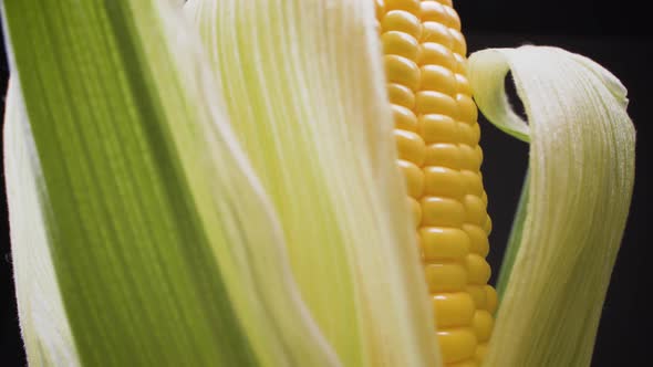 Super macro of corn grains.