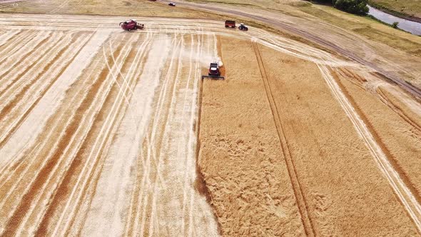 Aerial View of Combine Harvesters Working on a Wheat Field. The Harvest Season