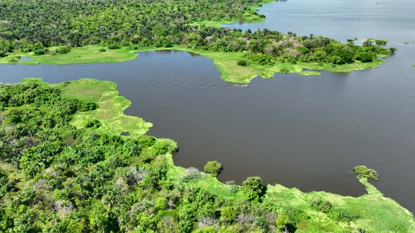 Stunning landscape of Amazon Forest at Amazonas State Brazil.