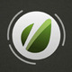 Motion Graphic Logo - VideoHive Item for Sale