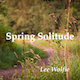 Spring Solitude - AudioJungle Item for Sale