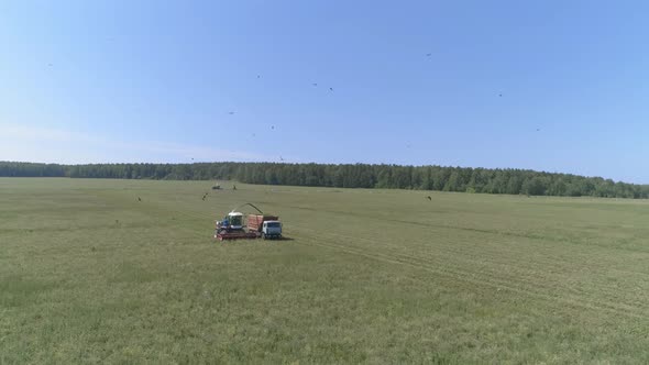 Aerial Drone view of Combine harvesting and truck on wheat field. 12