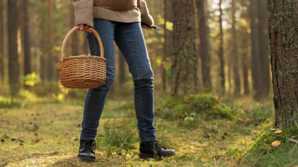 Young Woman Picking Mushrooms in Autumn Forest