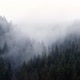 The Fog Spills Over the Spruce Forest Cold Rainy Weather - VideoHive Item for Sale