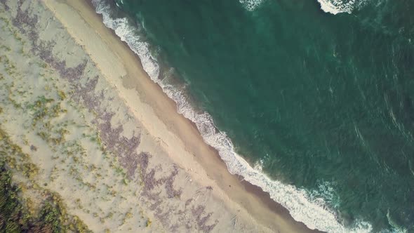 Waves of Ocean and Beach