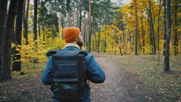 Back View of Walking Man with Backpack Exploring Autumn Forest in National Park Slow Motion