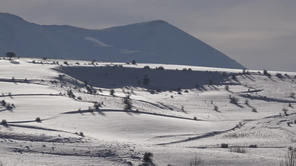 Snow Covered Fields and Meadow in Winter