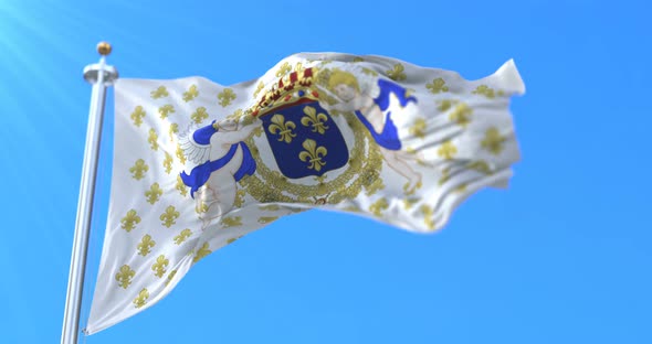 First Royal Standard Flag of France 