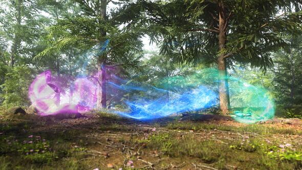 Nature Magical Butterflies Reveal alt