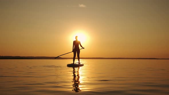 Siluet of Woman Standing Firmly on Inflatable SUP Board and Paddling Through Shining Water Surface
