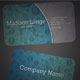 Professional Business Cards - GraphicRiver Item for Sale