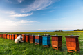 Beekeeper or Apiarist Working on Beehives Outdoor at Meadow - PhotoDune Item for Sale