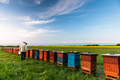 Beekeeper or Apiarist Working on Beehives Outdoor at Meadow - PhotoDune Item for Sale