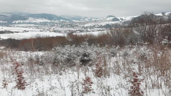 Aerial forward through winter shrub and trees with town and mountains in background