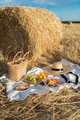 Picnic on the field with haystack - PhotoDune Item for Sale