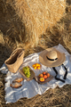 Picnic on the field with haystack - PhotoDune Item for Sale