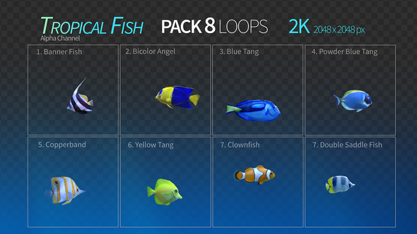 Tropical Fish Collection