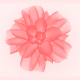 Flower Logo Reveal - VideoHive Item for Sale