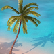 Tropical Summer House
