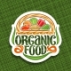 Vector Logo for Organic Food - GraphicRiver Item for Sale