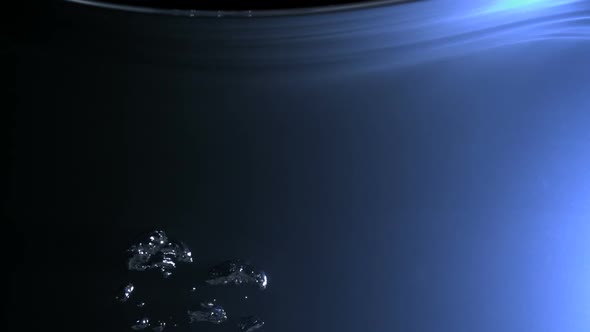 Bubbles rising in water, Slow Motion