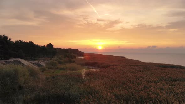 AERIAL: Flying in to the Sunrise During Golden Hour Above Swaying Canes