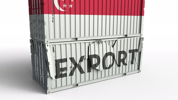 Container with Flag of Singapore Breaking Container with EXPORT Text