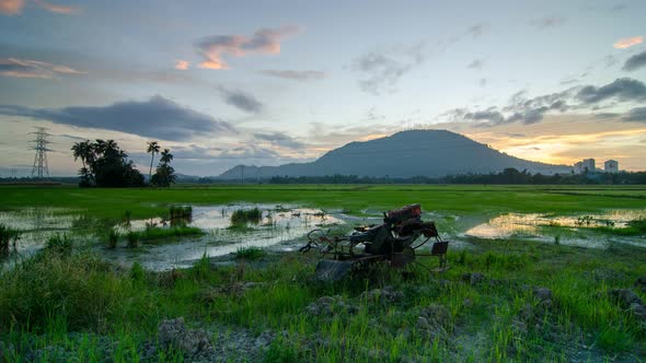 Timelapse sunrise tractor in paddy field