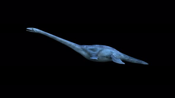 Elasmosaurus Dinosaur 4K